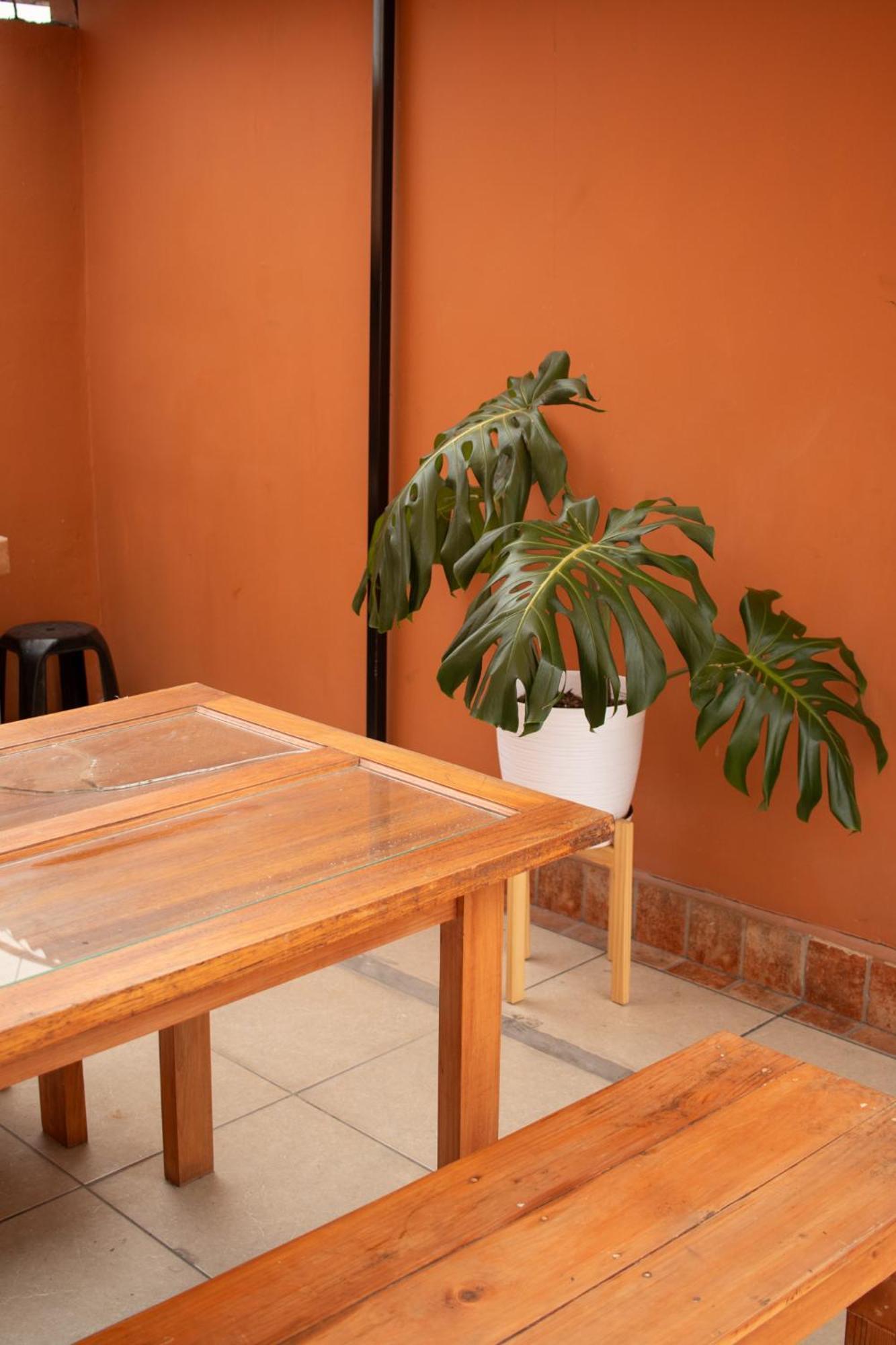 Temazcal Hostel 리마 외부 사진